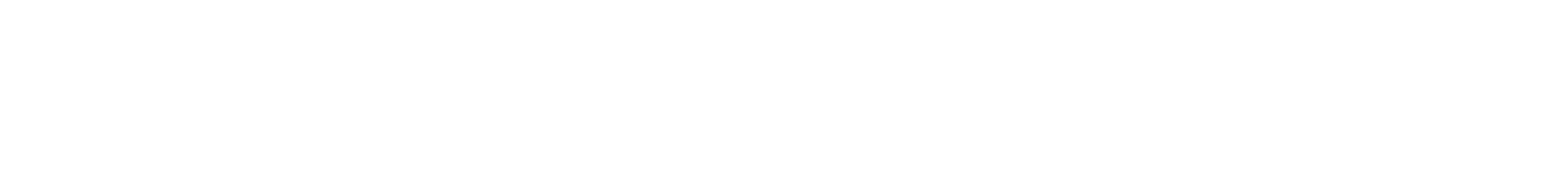 CMMI Partner