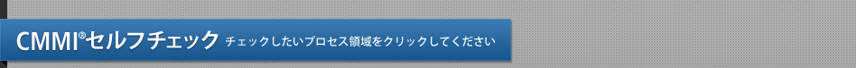 CMMIセルフチェック チェックしたいプロセス領域をクリックしてください