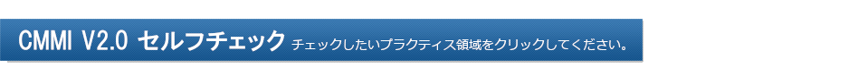 CMMI V2.0 セルフチェック チェックしたいプロセス領域をクリックしてください