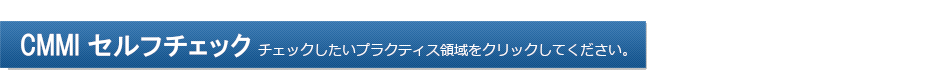 CMMI セルフチェック チェックしたいプロセス領域をクリックしてください